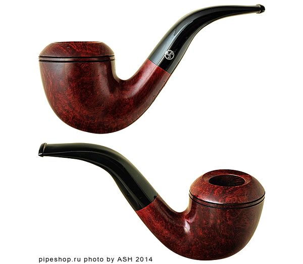   RATTRAY`S TRICKY RICKY SMOOTH FULL BENT RHODESIAN,  9 