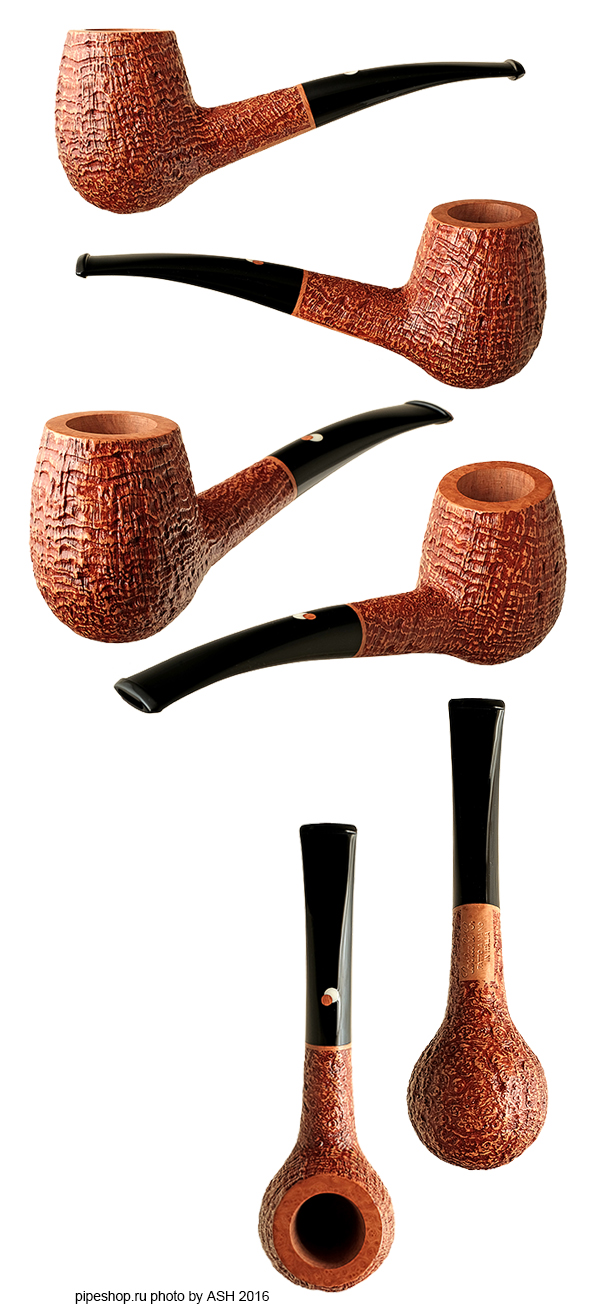   CAVICCHI C. TAN SANDBLAST HAWKBILL