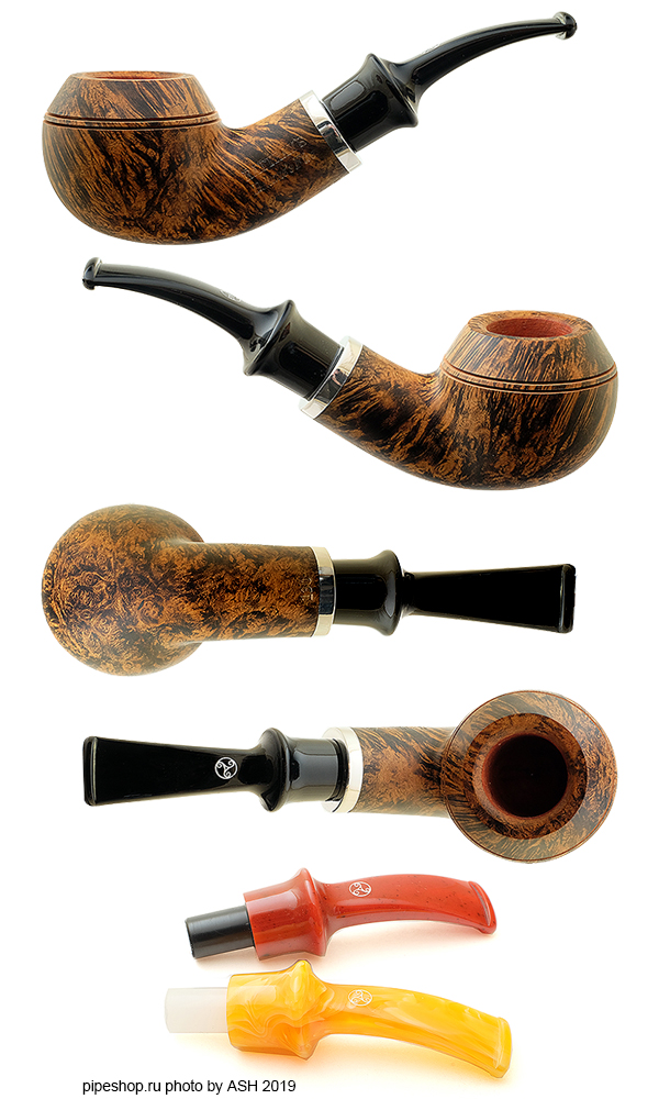   RATTRAY`S BELTANE`S FIRE CONTRAST SMOOTH BENT RHODESIAN,  9 