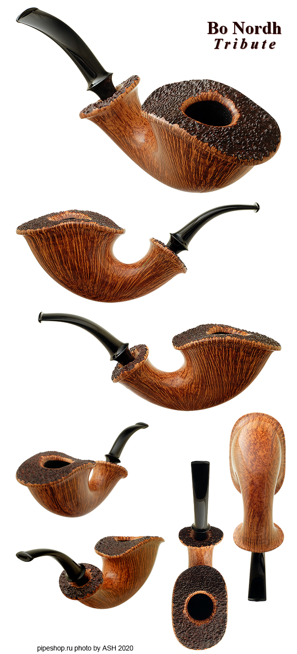   LASSE SKOVGAARD "BO NORDH TRIBUTE" SMOOTH BENT PLATEAUX DUBLIN Grade DOUBLE LIONS