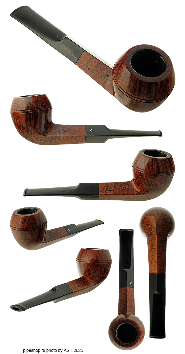   OMOY`S BLUE RIBAND SMOOTH BULLDOG 4 ESTATE