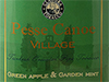 PESSE CANOE - 