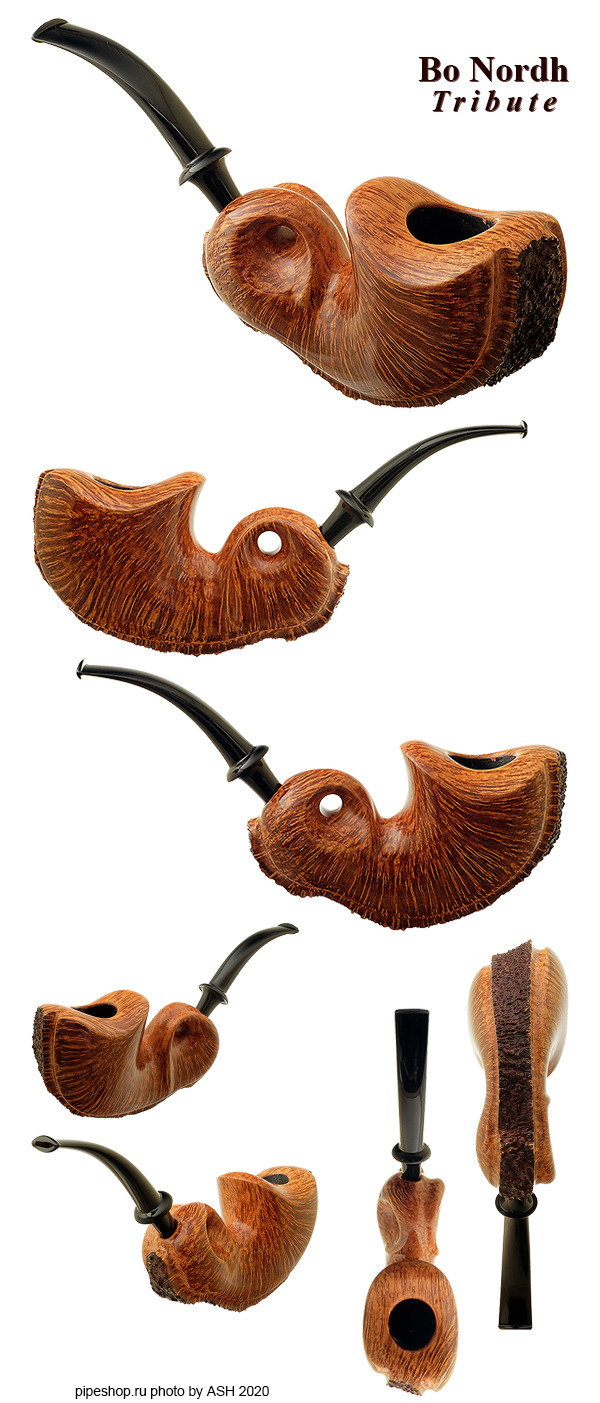   LASSE SKOVGAARD "BO NORDH TRIBUTE" SMOOTH SNAIL WITH PLATEAUX Grade DOUBLE LIONS